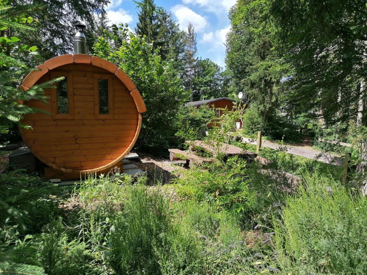 Authentic In With Private Fish Pond Wibrin