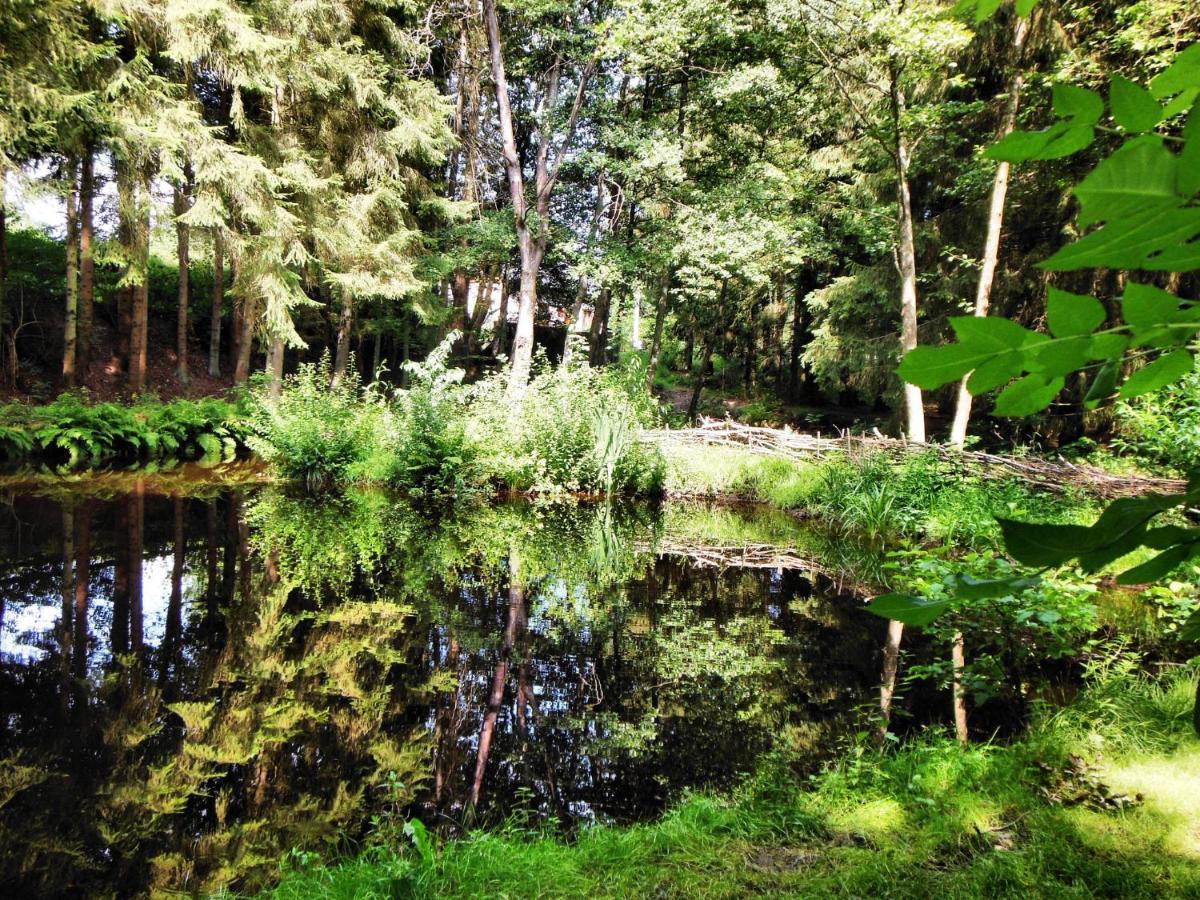 Authentic In With Private Fish Pond *